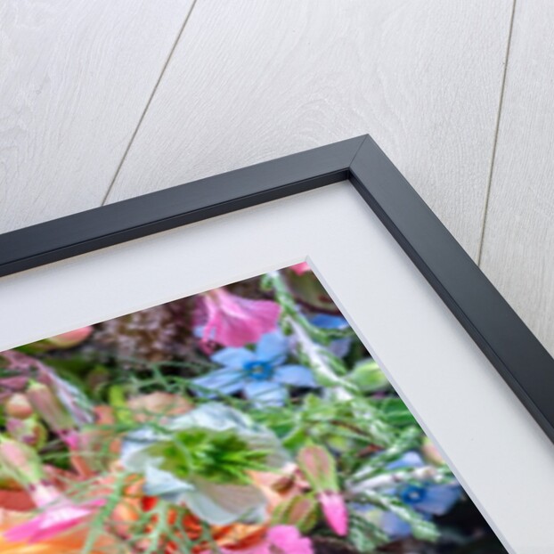 Roses and mixed flowers by Assaf Frank